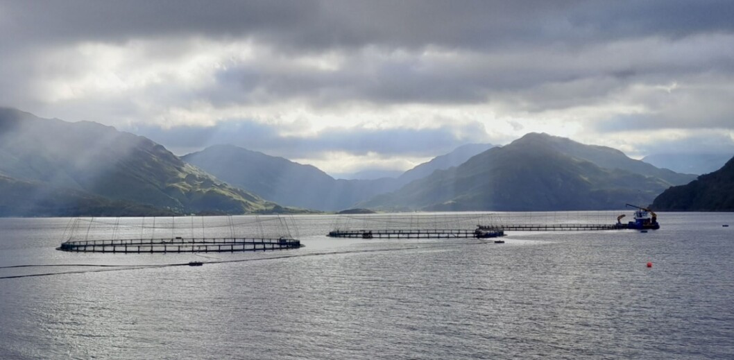 Loch Hourn salmon farm, August 2022 Loch Hourn salmon farm, August 2022