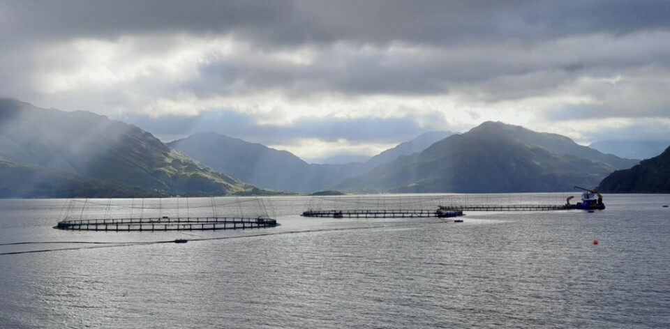 Mowi's site in Loch Hourn, Scotland. The Scottish operation's operating profit per kilo increased from €0.29 in Q3 2022 to €0.70 in Q4.