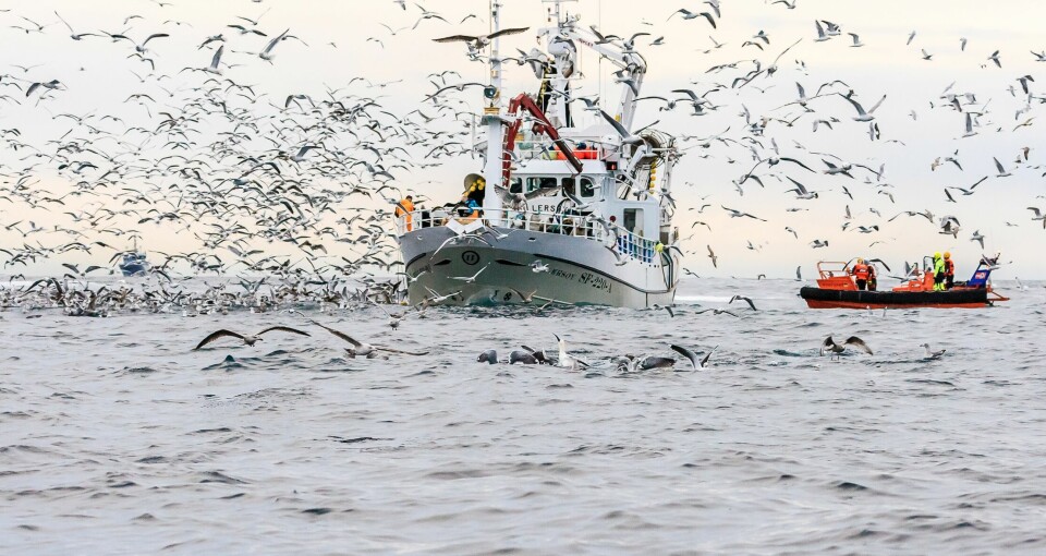 The Coastal States are being urged to agree quotas to maintain Northeast Atlantic fish stocks.