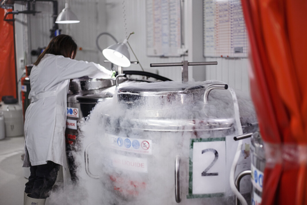 Benchmark says it has an excellent record in areas such as cryopreservation and wants to to develop and implement scalable methods for sterility and gene editing. Benchmark says it has an excellent record in areas such as cryopreservation and wants to to develop and implement scalable methods for sterility and gene editing.