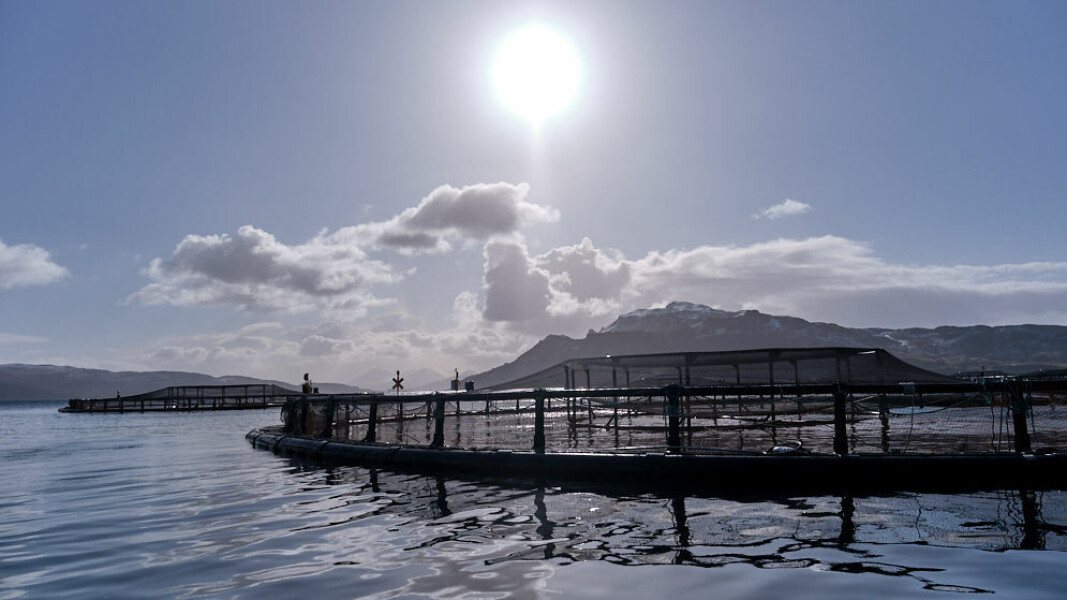 A shining light: the salmon industry's value to the Scottish economy increased by nearly 20% in 2021 compared to 2019, the most recent year where a valid comparison could be made. A shining light: the salmon industry's value to the Scottish economy increased by nearly 20% in 2021 compared to 2019, the most recent year where a valid comparison could be made.