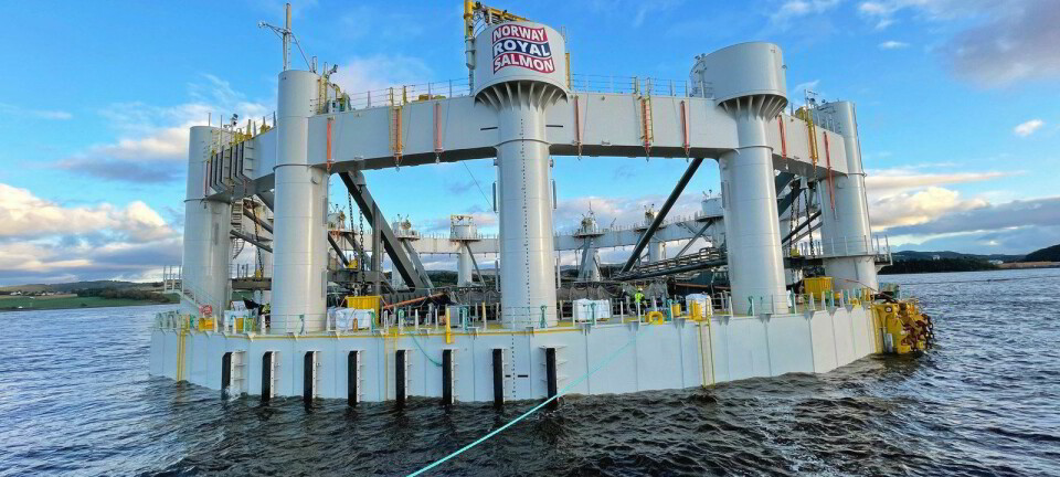 Scottish Government agrees to open the door for offshore fish farms