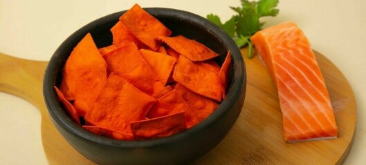 Chilean start-up produces crisps from salmon offcuts