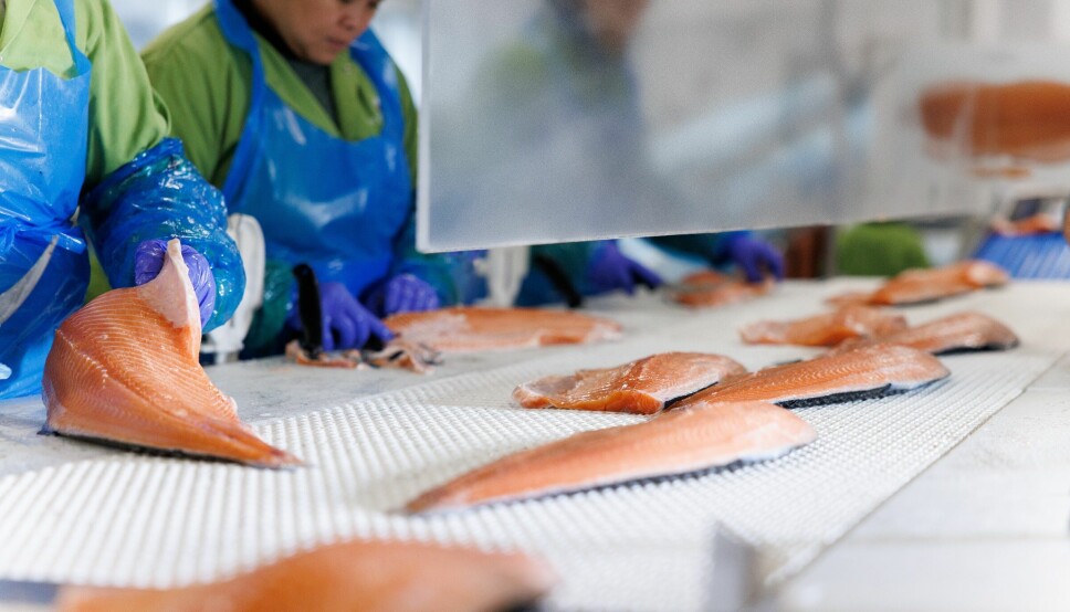 Hiddenfjord's processing facility and its salmon farms have been accredited by BAP. The company is now aiming to have its hatchery and feed supply certified to gain the maximum four-star BAP accreditation.