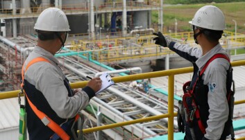 Gas-to-feed plant switched on in China