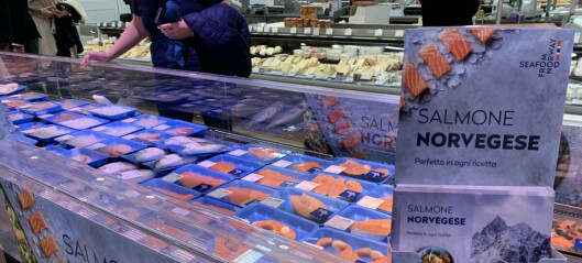 Norway sets another seafood export earnings record