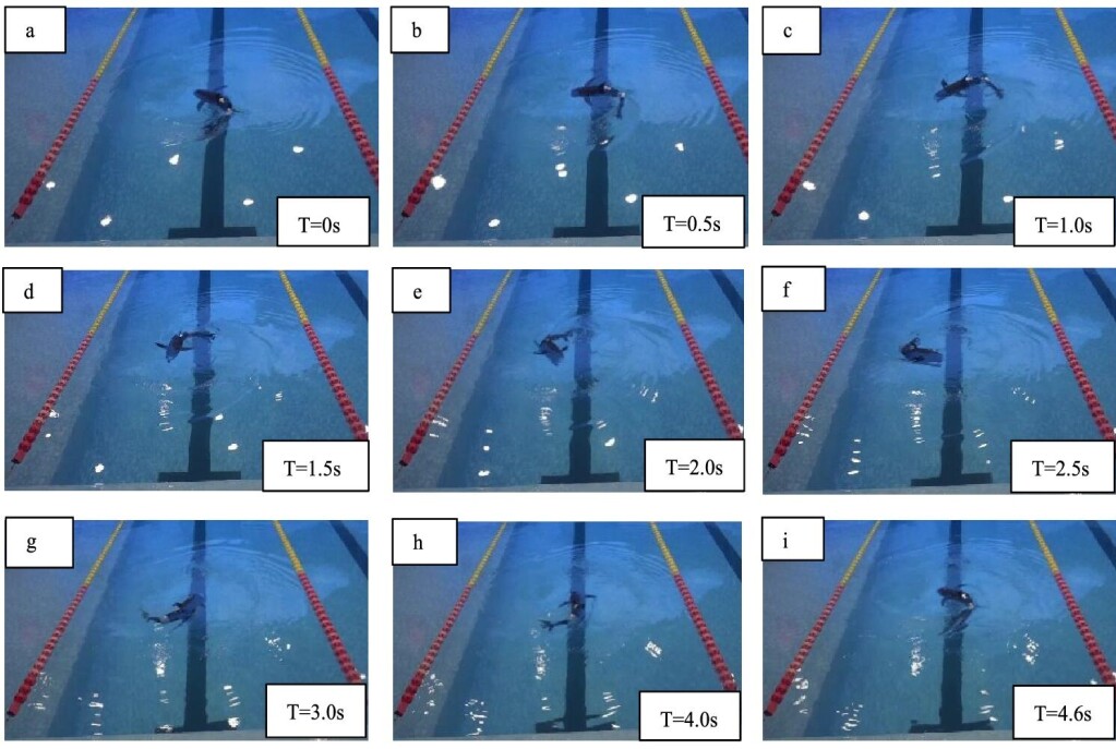 The robotic fish was tested in both pools and aquaculture ponds. The robotic fish was tested in both pools and aquaculture ponds.
