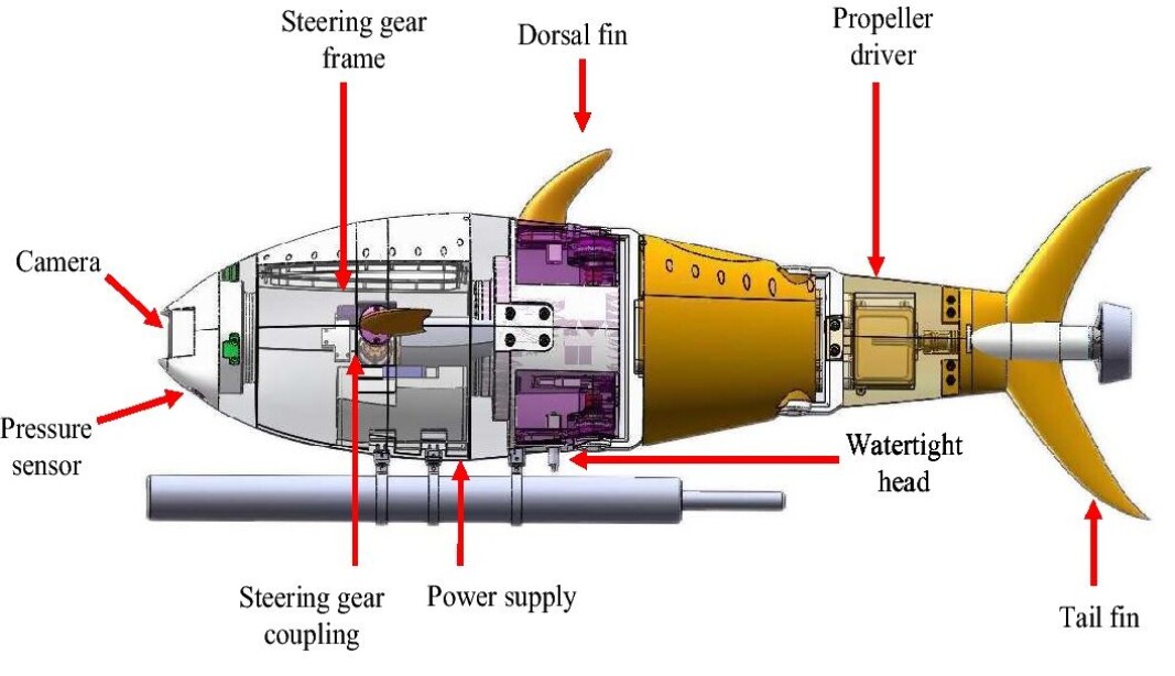 An illustration of the robotic tuna being developed for use as an aquaculture water monitoring device. An illustration of the robotic tuna being developed for use as an aquaculture water monitoring device.