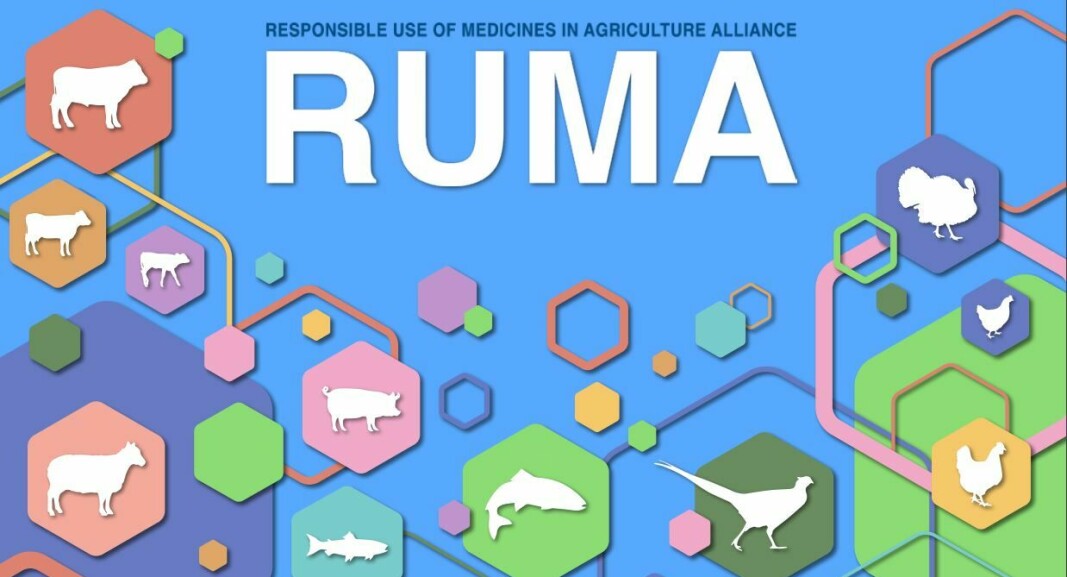 RUMA's report reveals that salmon farmers used more antibiotics in 2021 than in 2020, but only at a handful of farms.