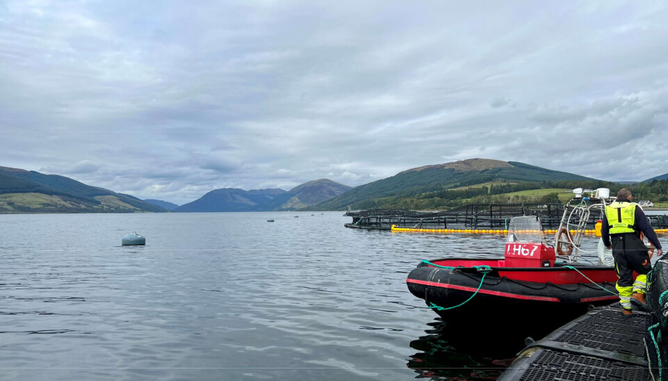 Bakkafrost site Ardyne in Scotland.