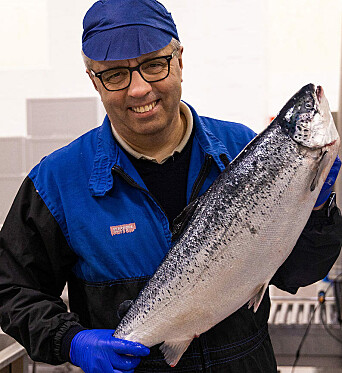 Ingjarl Skarvøy: Continuously improving operations. Ingjarl Skarvøy: Continuously improving operations.