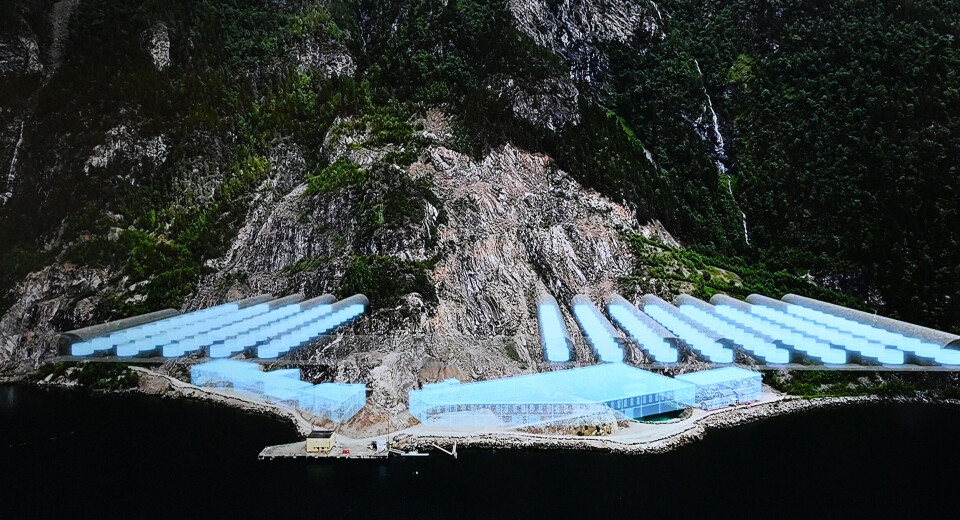 Sketch of the facility as you imagine it built into the mountain.