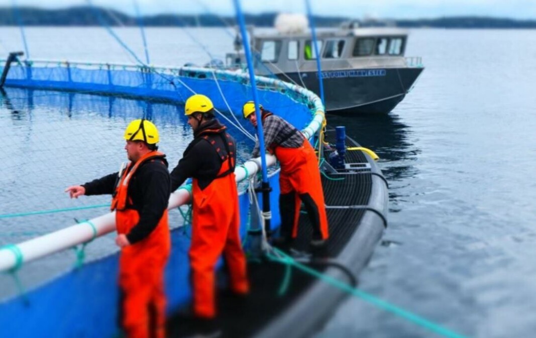 Grieg has reported good early progress for fish stocked in Placentia Bay. Grieg has reported good early progress for fish stocked in Placentia Bay.