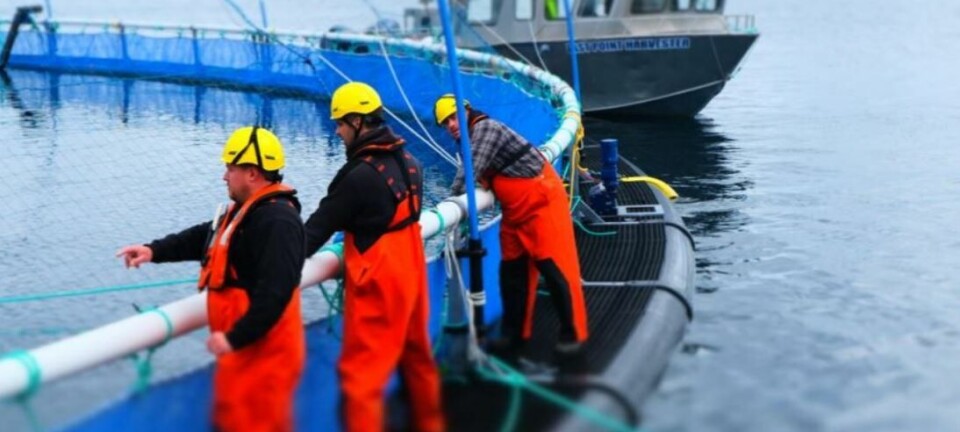 Cash-strapped Grieg reins in Canada investment to focus on Norway