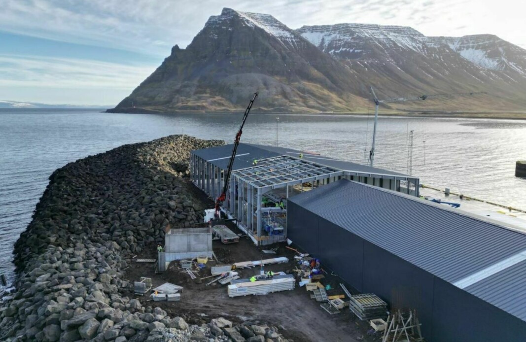 Arctic Fish is expanding its harvesting facility at Bolungarvik.