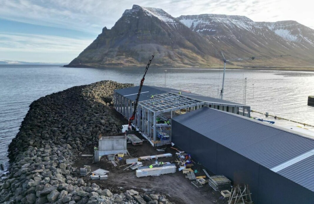 Arctic Fish is expanding its harvesting facility at Bolungarvik. Arctic Fish is expanding its harvesting facility at Bolungarvik.