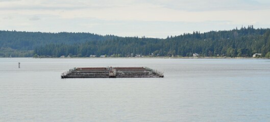 Seafood groups call for review of Puget Sound farm closures