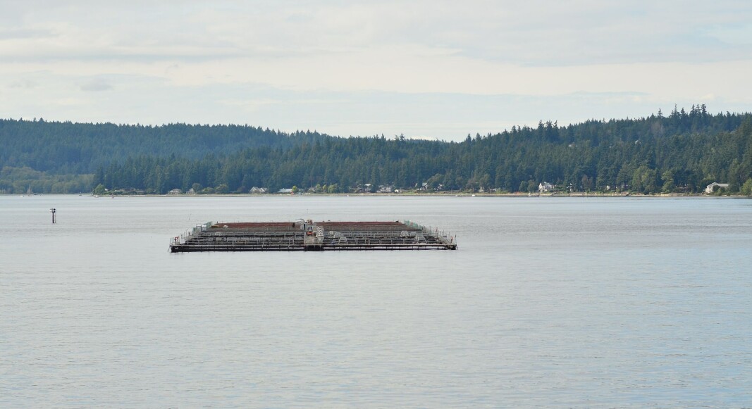 A fish farm in Rich Passage. A fish farm in Rich Passage.