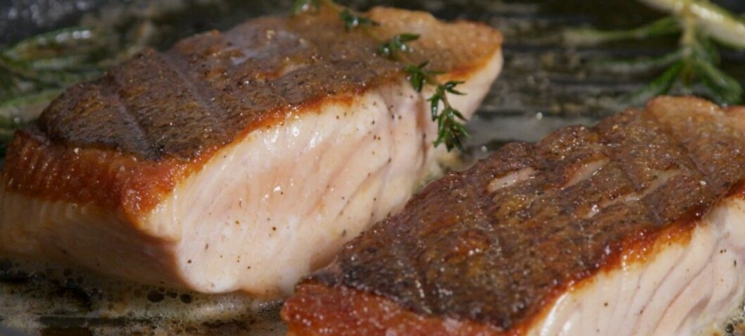 Salmon Scotland joins prestigious chefs’ group