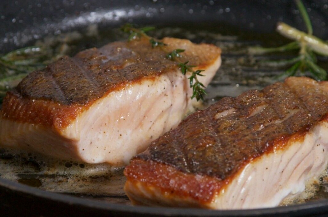 Scottish salmon in the pan.