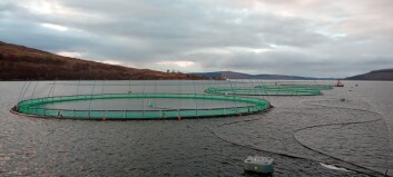 Scottish Sea Farms installs its first 160-metre pens