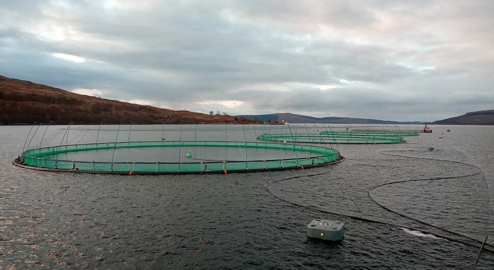 The new 160 m pens at Fishnish A in the Sound of Mull.