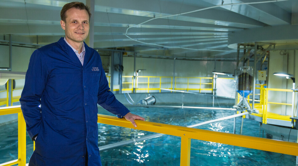 Trond Håkon Schaug-Pettersen is now full-time CEO at Salmon Evolution.