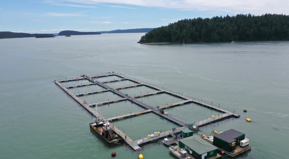 Court ruling is just first step for Washington State fish farmers