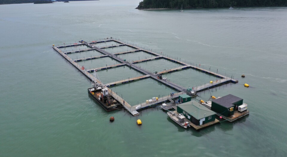 A Cooke Aquaculture Pacific fish farm in Puget Sound. Cooke's staff in Washington State, some of whom had been fish farming for decades, lost their jobs after Hilary Franz's ban.