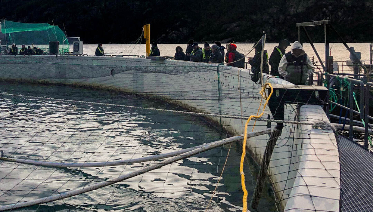 Wfn Fish Farm First Nations shown ways forward for fish farming