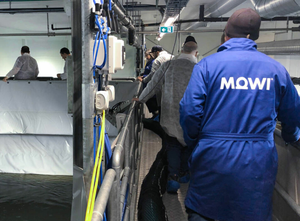 First Nations delegates learn about Mowi's latest technology in Norway.