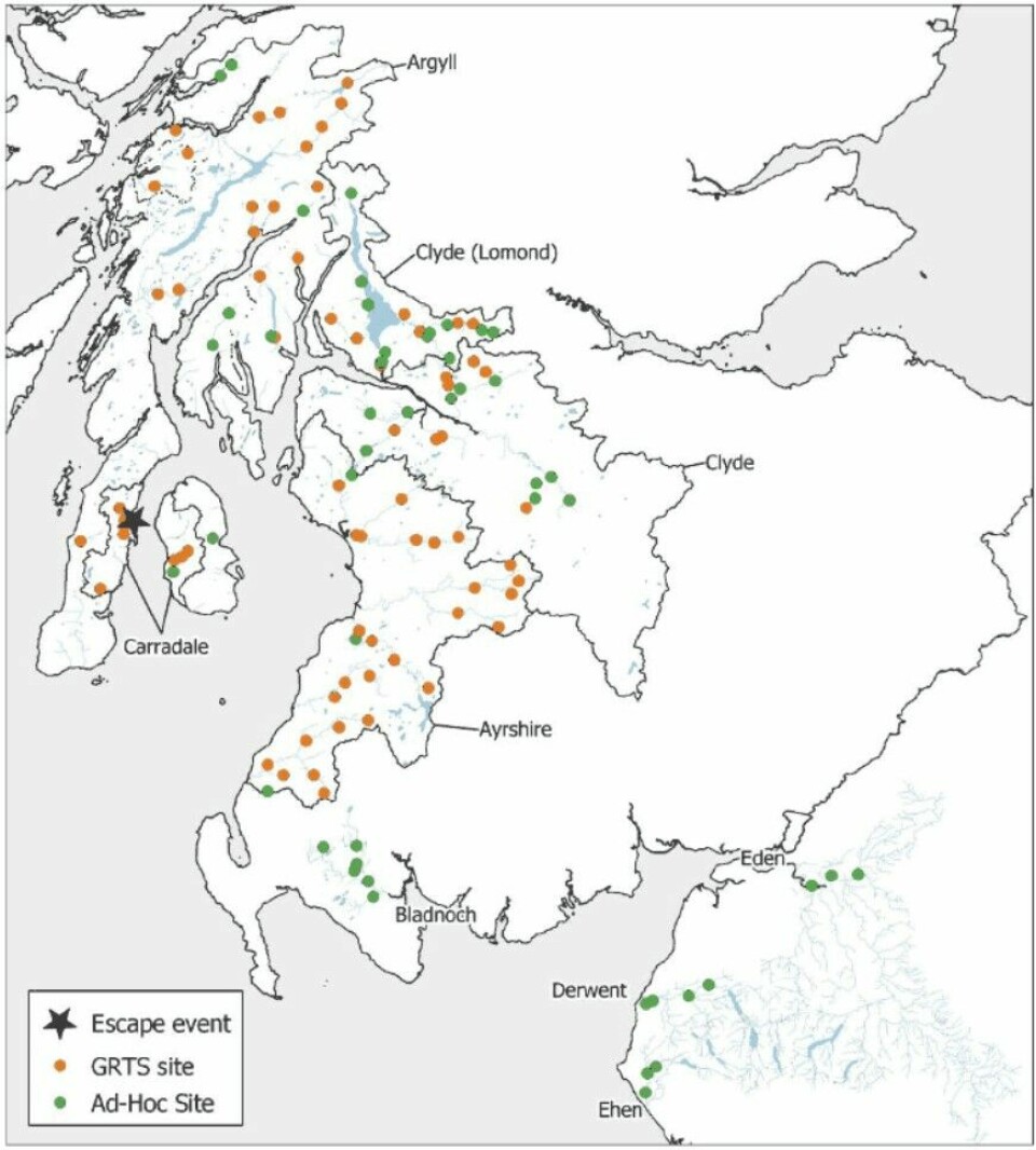 Map showing location of the escape and the sampled sites in Scotland and England. Generalised Random Tessellation Stratified ( GRTS) regions are identified (Argyll, Ayrshire, Carradale, Clyde) together with GRTS and ad-hoc sites within these regions. Additional ad-hoc sites on the Scottish river Bladnoch, and English rivers Eden, Derwent and Ehen also shown.