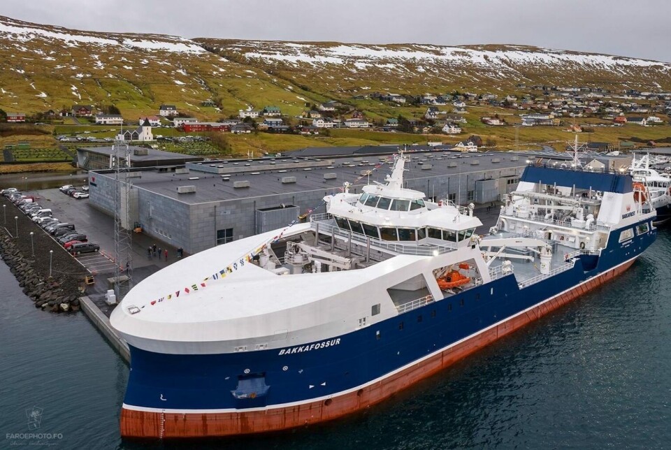 The Bakkafossur, one of the world's largest wellboats, moored next to Bakkafrost's headquarters and processing facility at Glyvrar in the Faroe Islands.