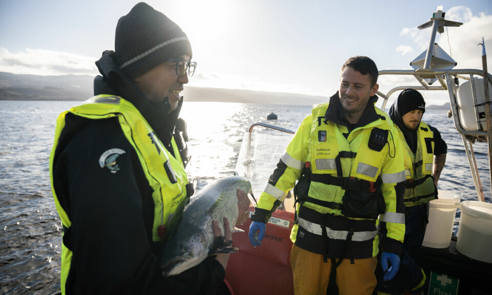 As fresh as it gets: Sushi chef Luiz Hirata, left, with site manager James Ronald, centre, and senior marine operative Max Carter during a visit to a Bakkafrost Scotland marine site.