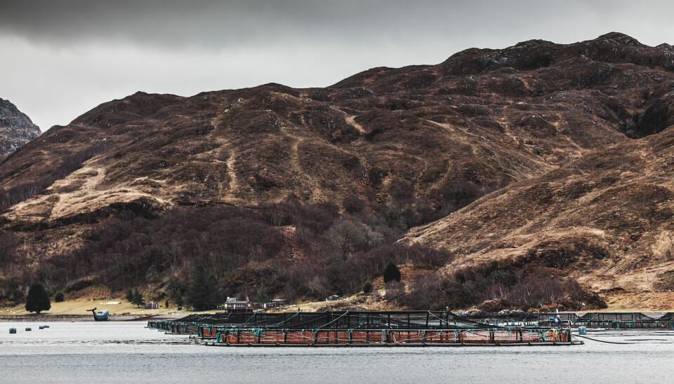 One of Scottish Sea Farms' three sites near the southern shore of Loch Nevis, Knoydart.