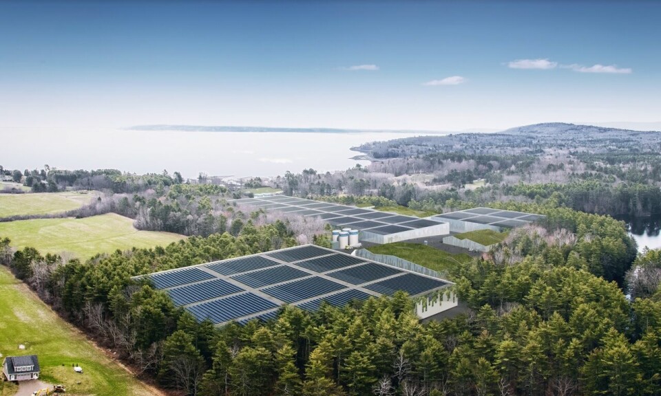An illustration of Nordic Aquafarms' planned salmon RAS facility in Belfast, Maine. A court ruling has put a question mark over the company's right to use a parcel of land to lay inlet and outlet pipes to Penobscot Bay.