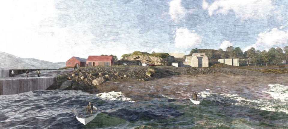 Pier we go: Mowi proposes big changes for Carradale Harbour