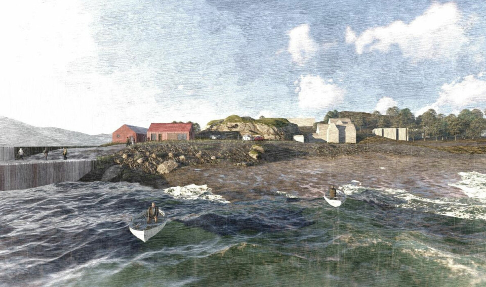 An illustration of the design concept for Carradale Harbour.