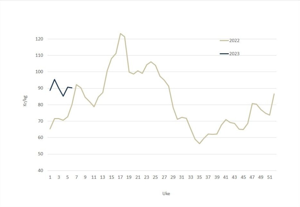 The spot price of Norwegian salmon in 2023 (dark blue) and 2022 (grey/green).