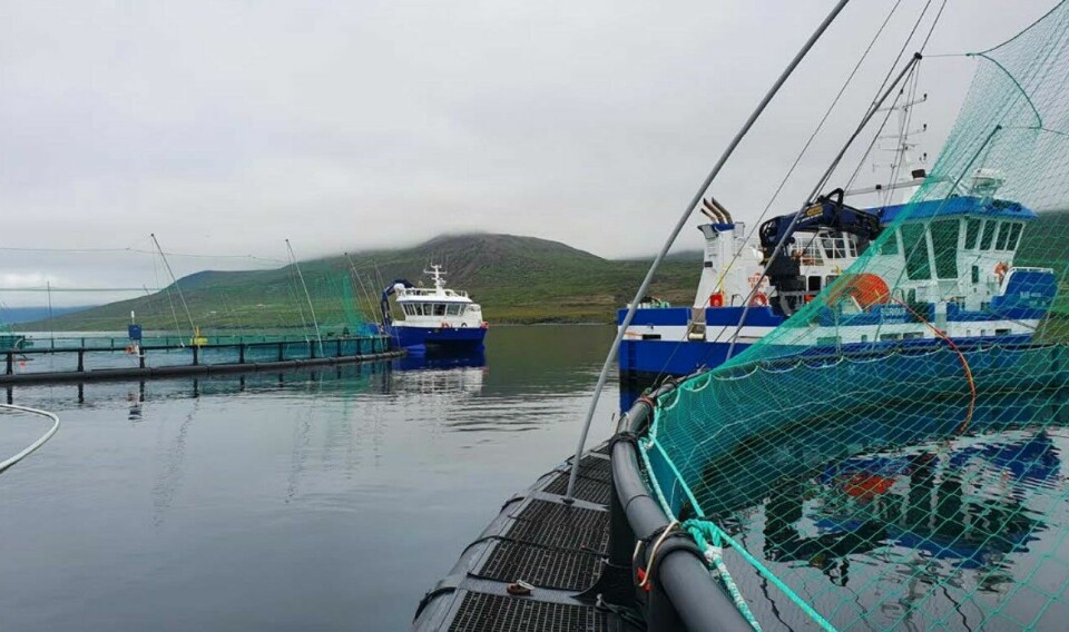 Farming operations at an Ice Fish Farm site in east Iceland.