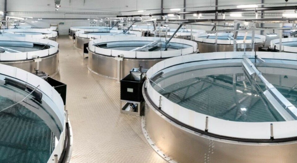 China-Malta project ‘has advanced aquaculture digitalisation’