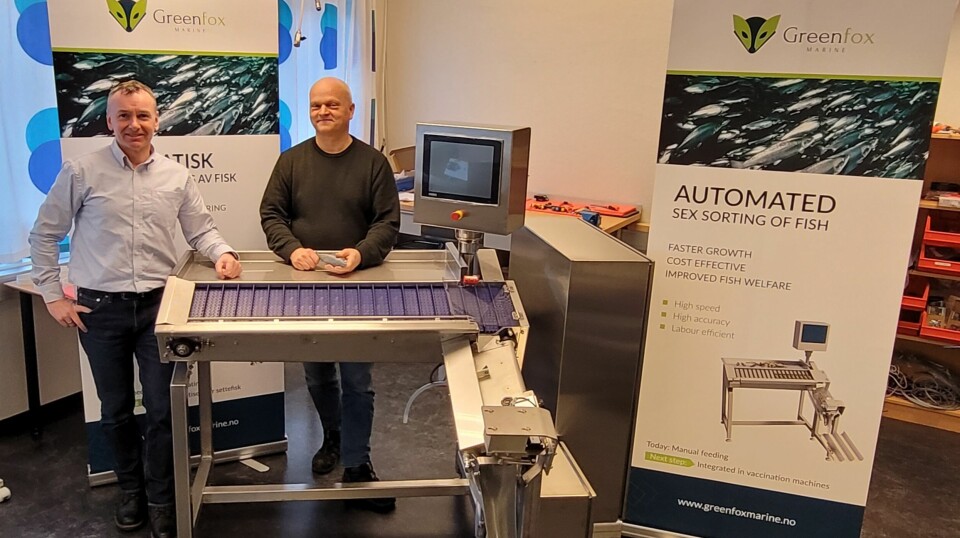 Sex machine: Greenfox Marine chief executive Erling Aspen, left, and chief operating officer Halvard Andresen with equipment that uses ultrasound and AI to sort smolts into male and female cohorts.