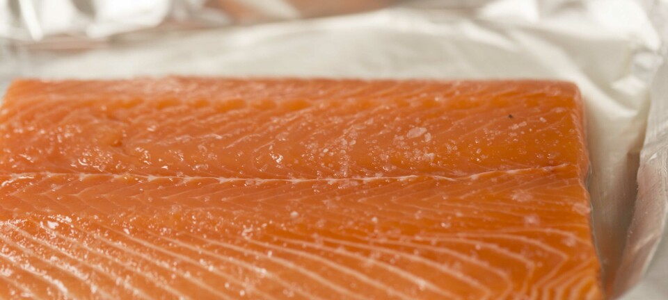 Anti-fish farming groups 'have wasted taxpayers' money'