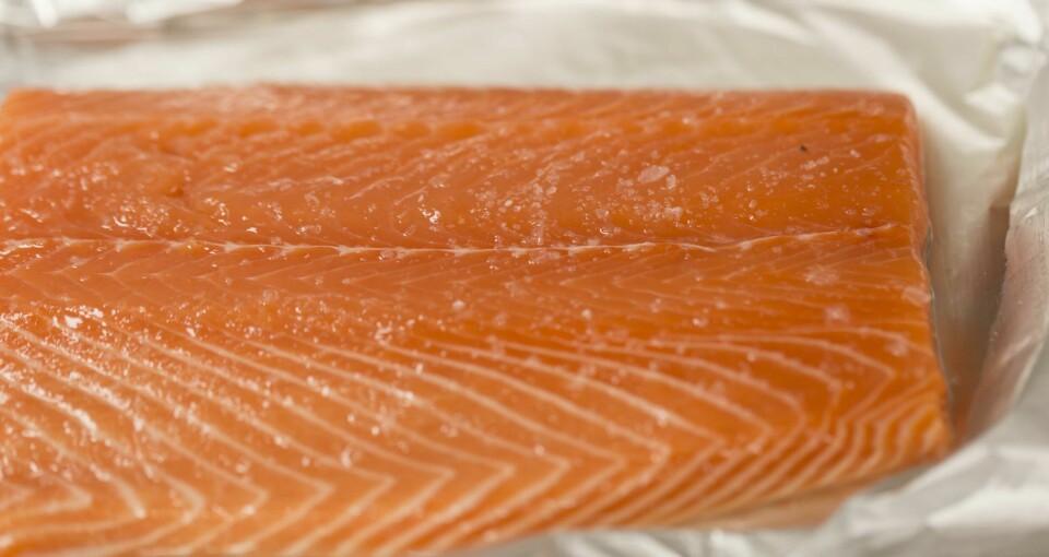 A Scottish salmon fillet.