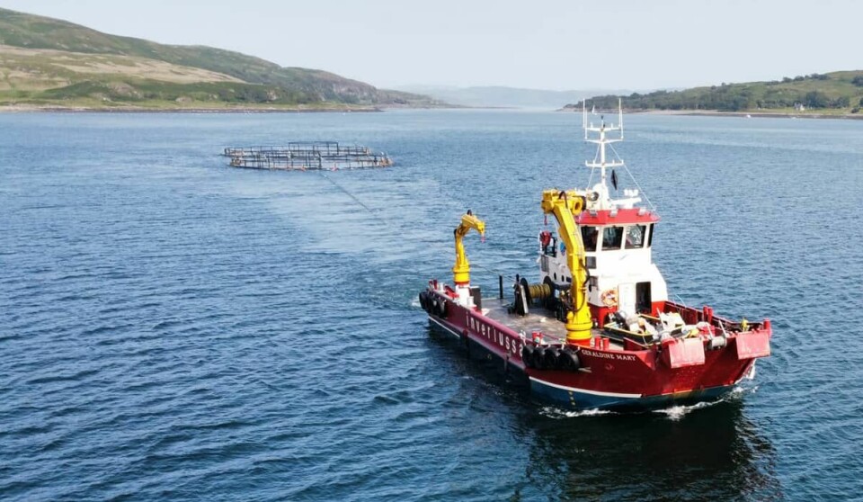 The versatile Geraldine Mary, built by Macduff Shipyard and owned by Inverlussa Marine Services.