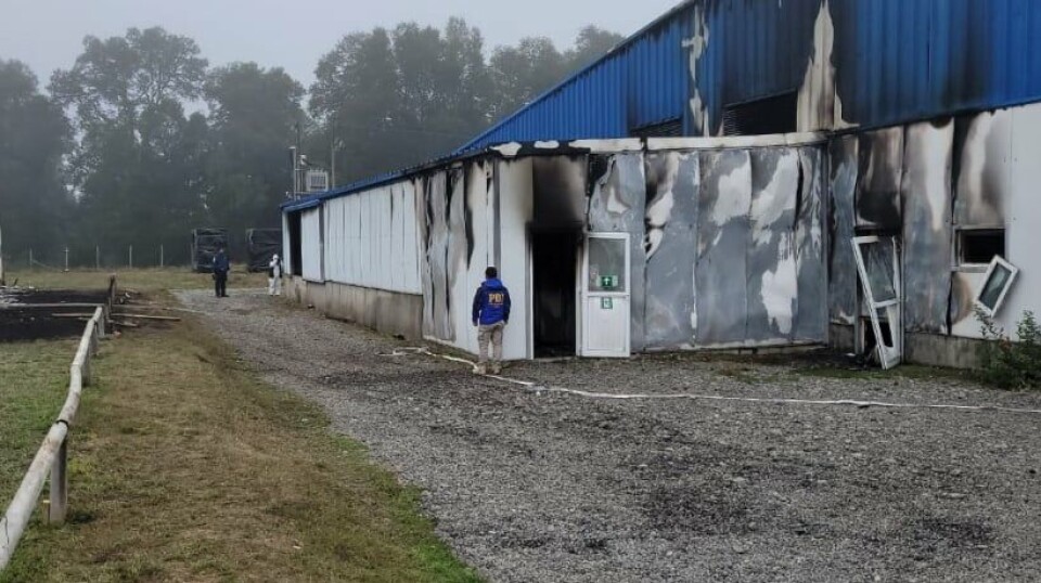 Police check damage at the smolt facility. Police check damage at the smolt facility.