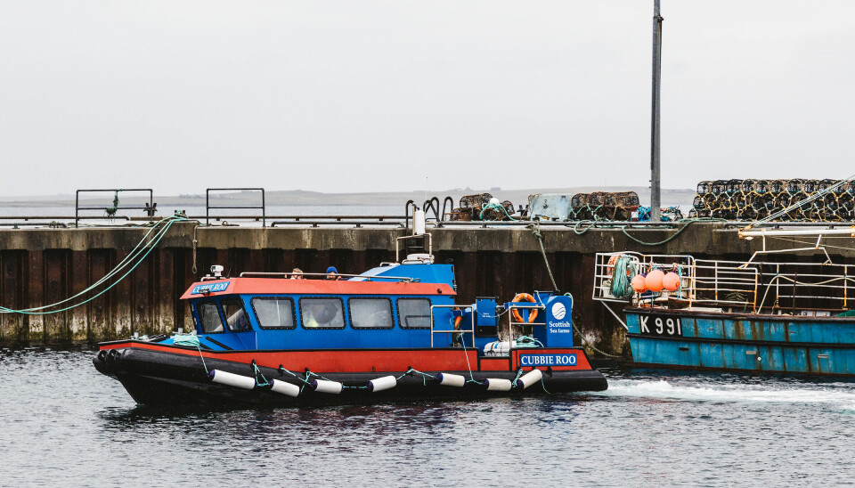 The Scottish Sea Farms personnel boat Cubbie Roo in front of creels stacked on Tingwall pier. Both could be gone if an HPMA is established in Orkney.