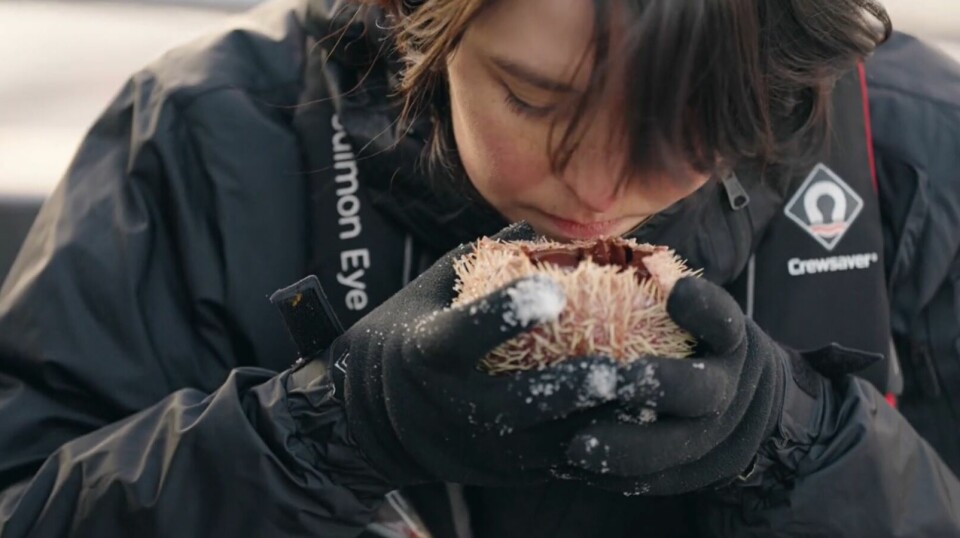 Anika Madsen examines a sea urchin in a promotional video for the new restaurant.