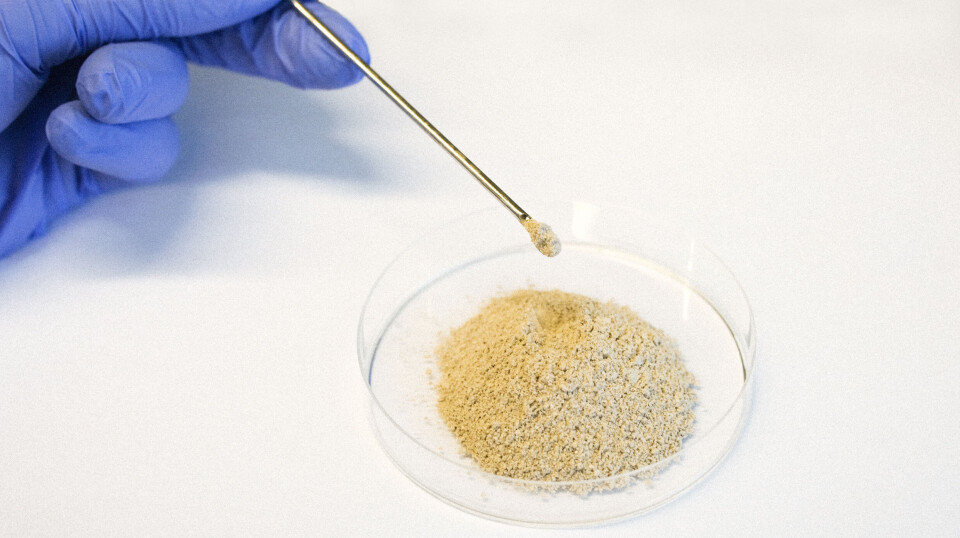 Cirkulein is a protein ingredient produced from paper-making by-products.