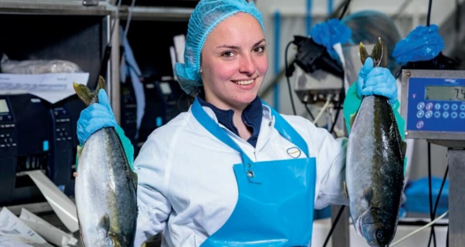 The Kingfish Company achieved higher prices for larger fish in Q1.